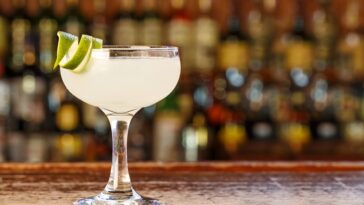 daiquiri-degustation