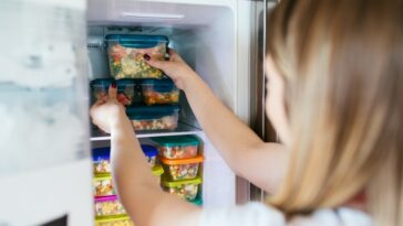 que-congeler-aliments
