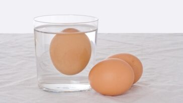 test-oeufs-bons