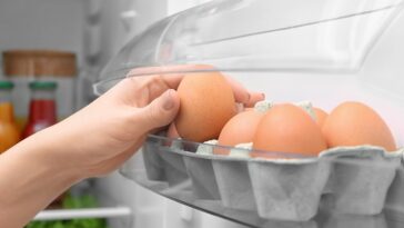 oeufs-frigo