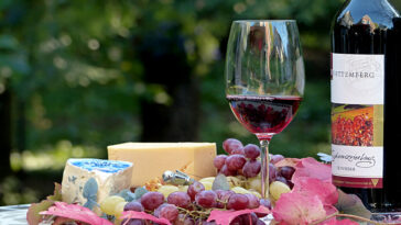 Comment bien choisir son vin pour Noël ?