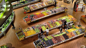 Comment choisir son fournisseur direct de légumes ?