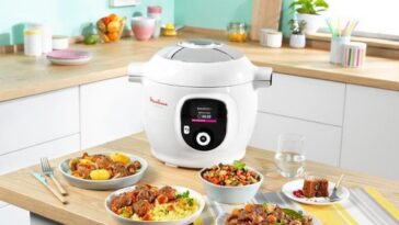 moulinex